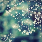 宫颈糜烂的危害